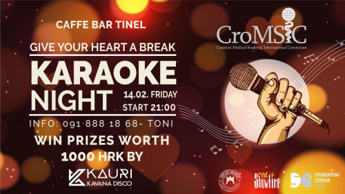 Karaoke večer u caffe baru Tinel 14.02.2020.